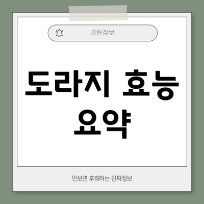 도라지 효능 요약