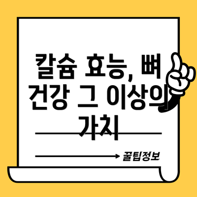 칼슘 효능, 뼈 건강 그 이상의 가치