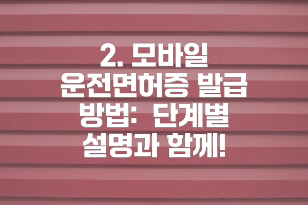 2. 모바일 운전면허증 발급 방법: 단계별 설명과 함께!