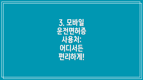 3. 모바일 운전면허증 사용처: 어디서든 편리하게!