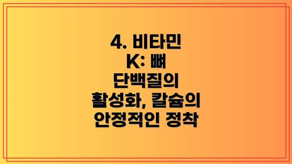 4. 비타민 K: 뼈 단백질의 활성화, 칼슘의 안정적인 정착
