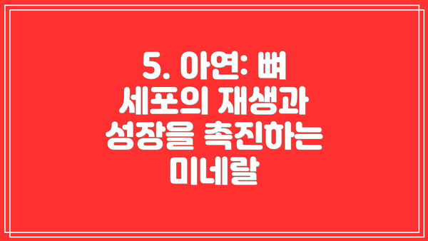5. 아연: 뼈 세포의 재생과 성장을 촉진하는 미네랄