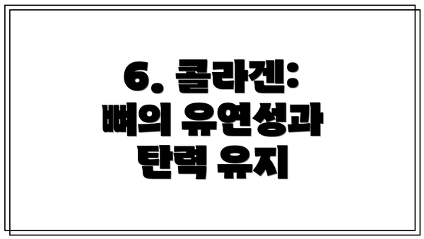 6. 콜라겐: 뼈의 유연성과 탄력 유지