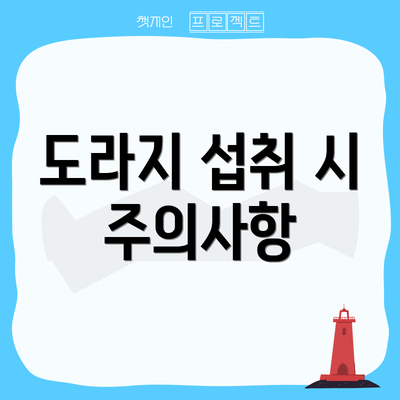 도라지 섭취 시 주의사항