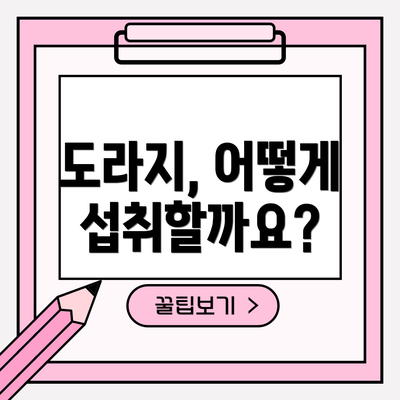 도라지, 어떻게 섭취할까요?