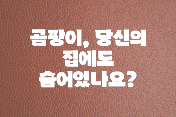 곰팡이, 당신의 집에도 숨어있나요?