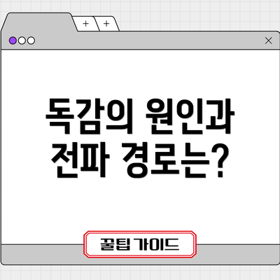 독감의 원인과 전파 경로는?