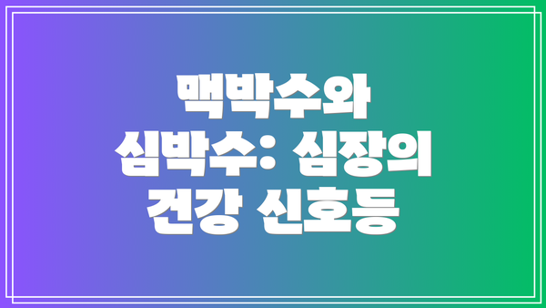 맥박수와 심박수: 심장의 건강 신호등