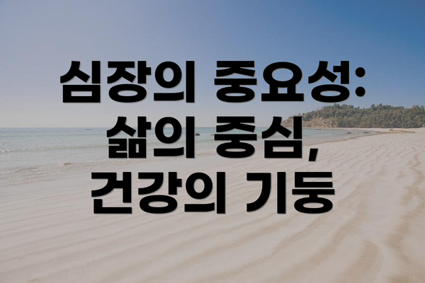 심장의 중요성: 삶의 중심, 건강의 기둥