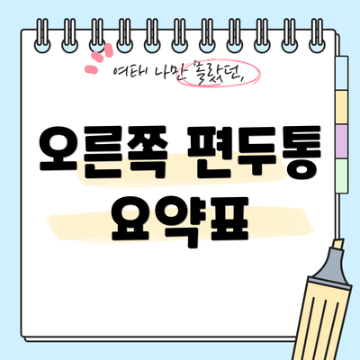 오른쪽 편두통 요약표