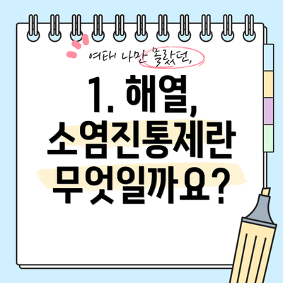 1. 해열, 소염진통제란 무엇일까요?