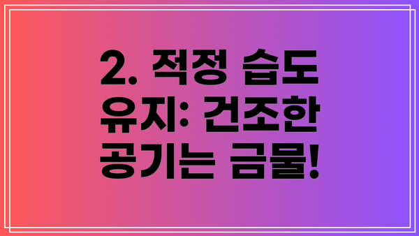 2. 적정 습도 유지: 건조한 공기는 금물!
