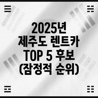 2025년 제주도 렌트카 TOP 5 후보 (잠정적 순위)