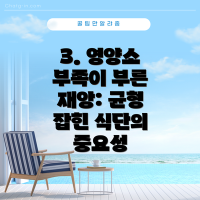 3. 영양소 부족이 부른 재앙: 균형 잡힌 식단의 중요성