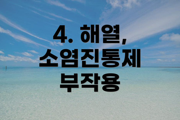 4. 해열, 소염진통제 부작용