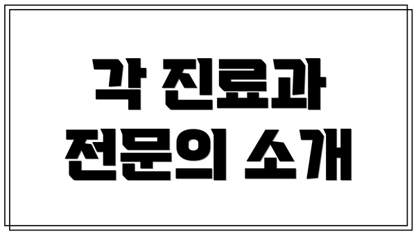 각 진료과 전문의 소개