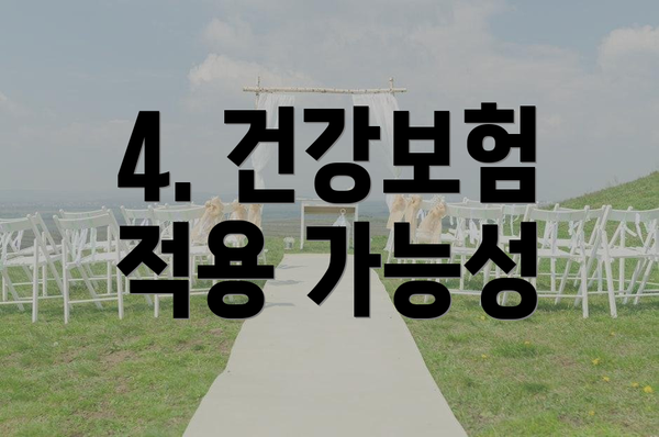 4. 건강보험 적용 가능성