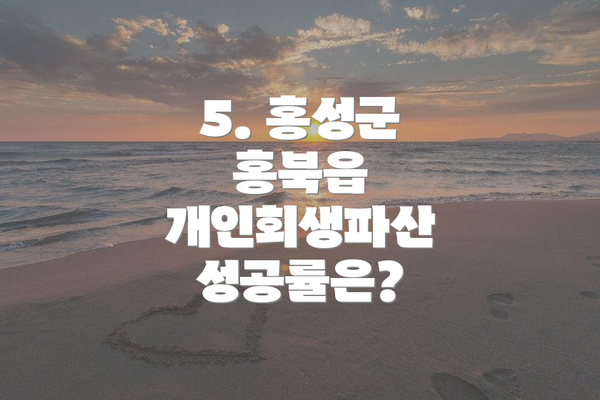 5. 홍성군 홍북읍 개인회생파산 성공률은?
