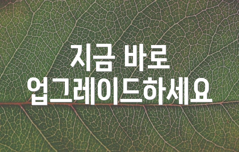 지금 바로 업그레이드하세요