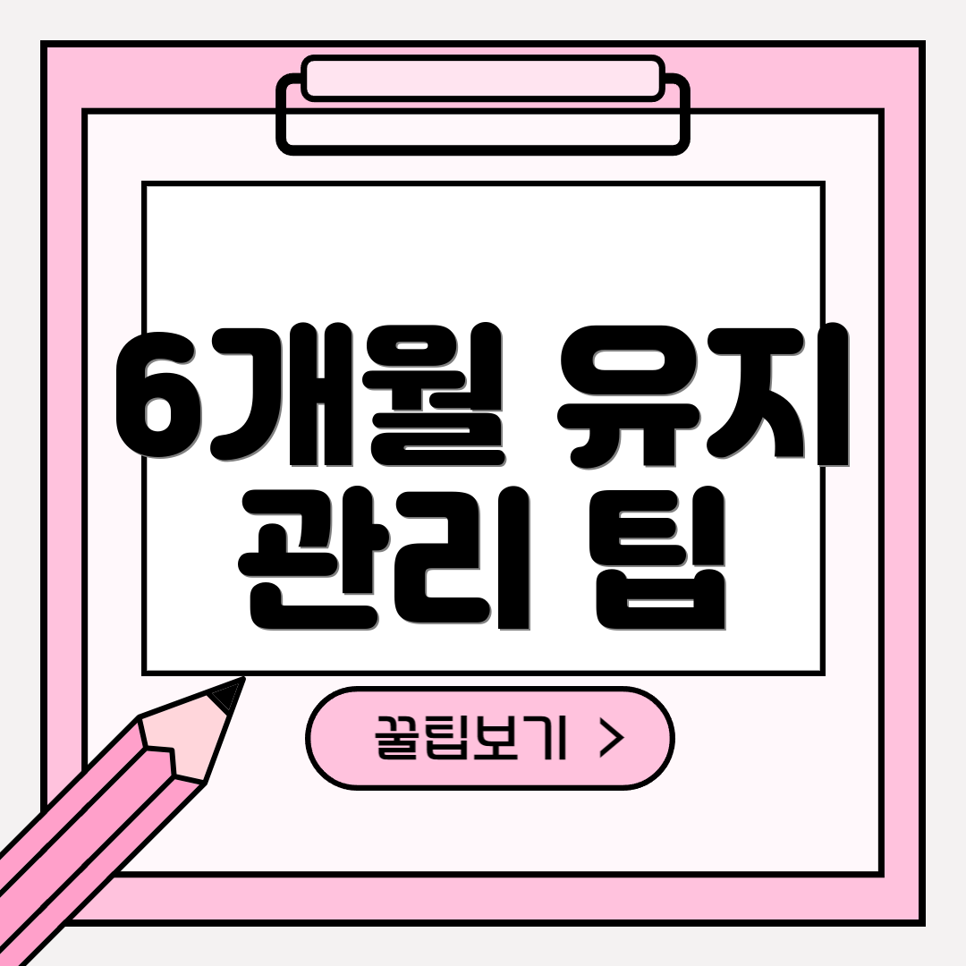 6개월 유지 관리 팁