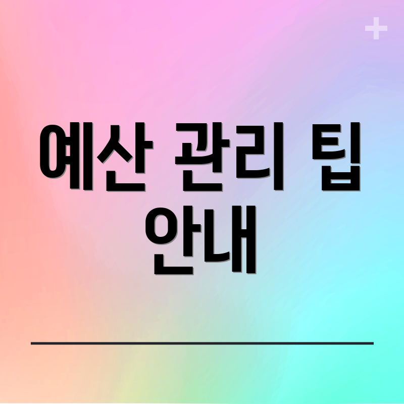 예산 관리 팁 안내