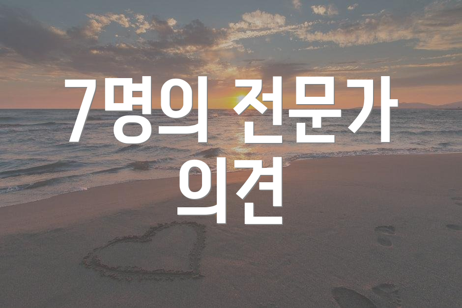 7명의 전문가 의견