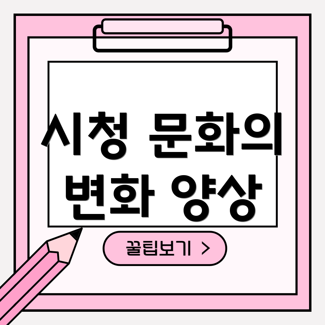 시청 문화의 변화 양상