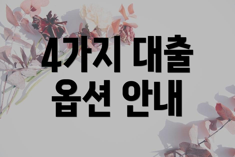 4가지 대출 옵션 안내