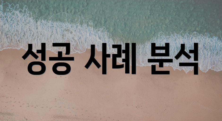 성공 사례 분석