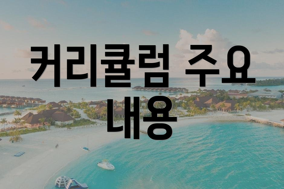 커리큘럼 주요 내용