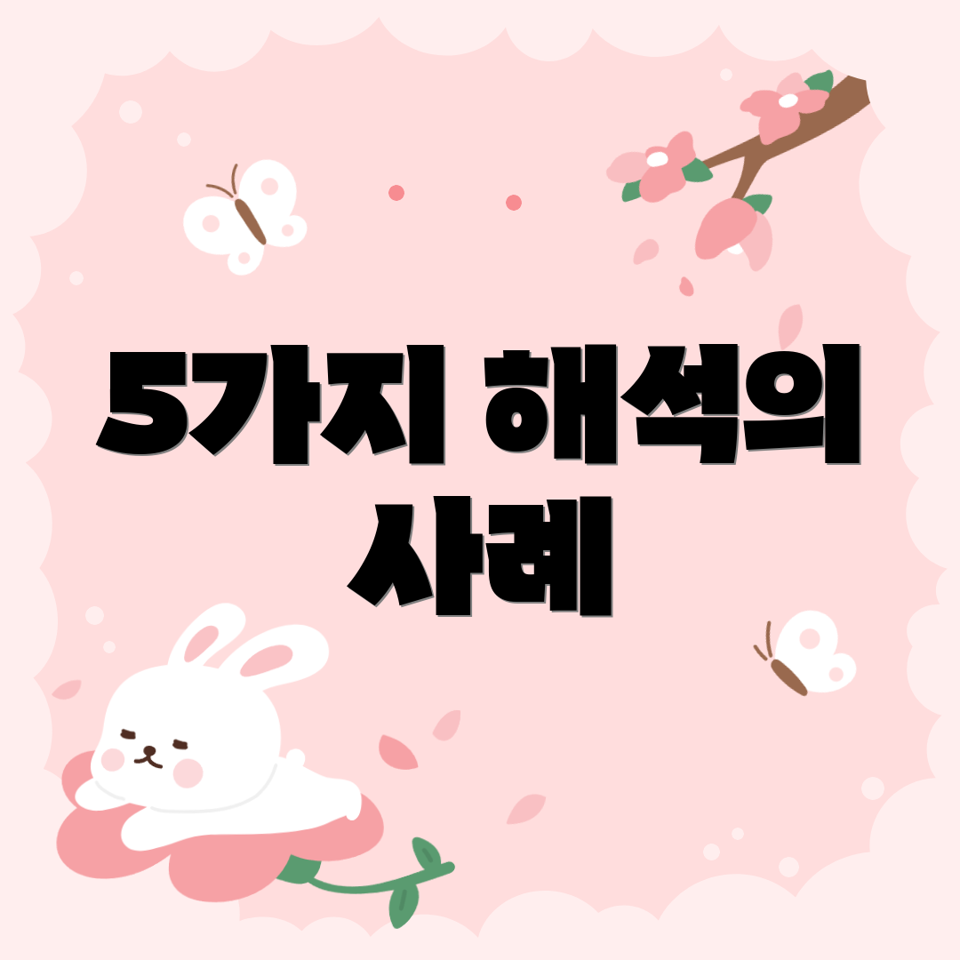 5가지 해석의 사례