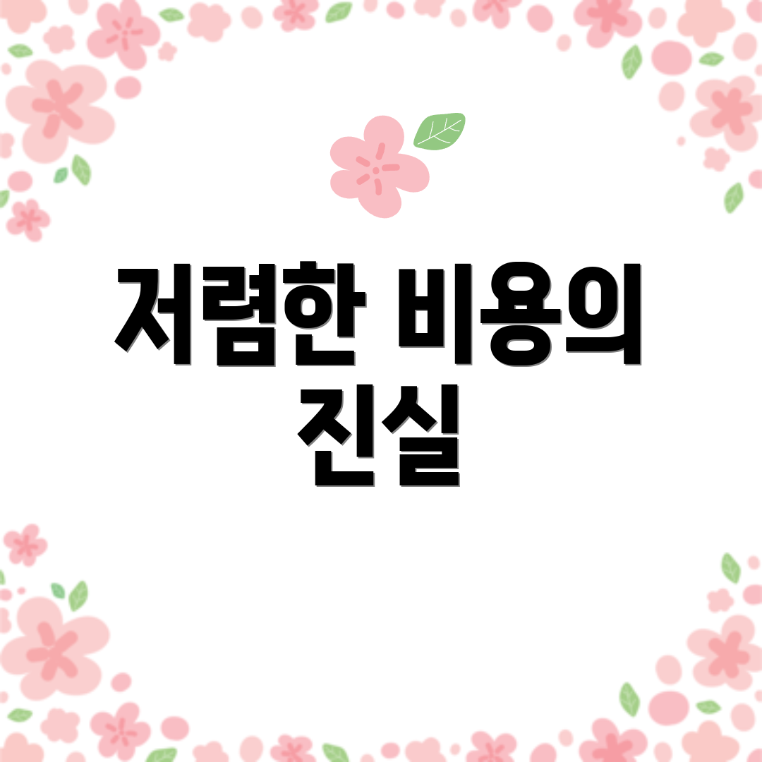 저렴한 비용의 진실