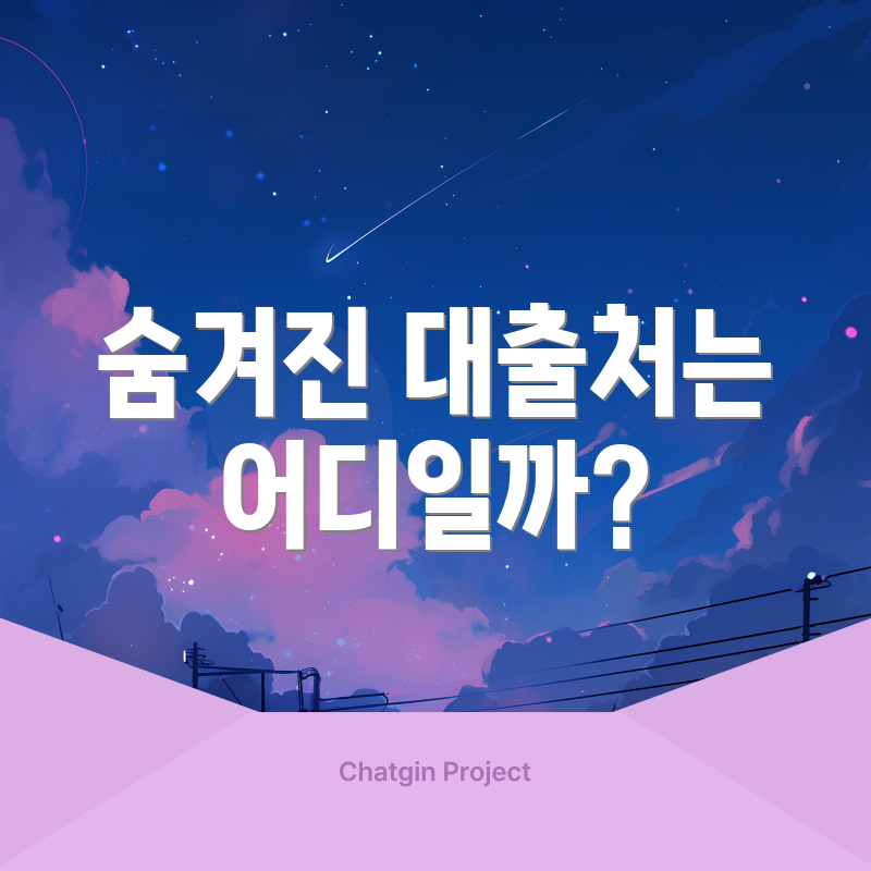 숨겨진 대출처는 어디일까?