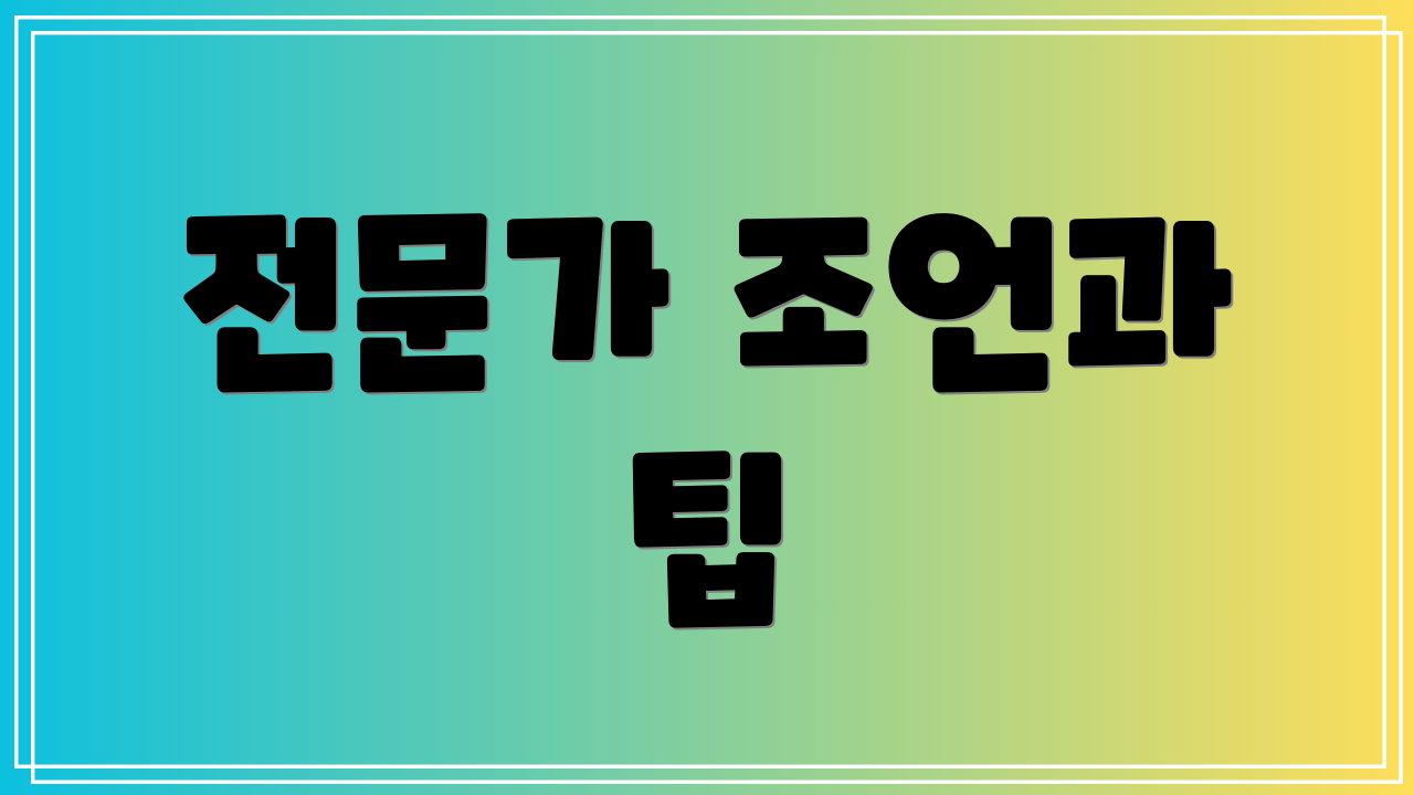 전문가 조언과 팁