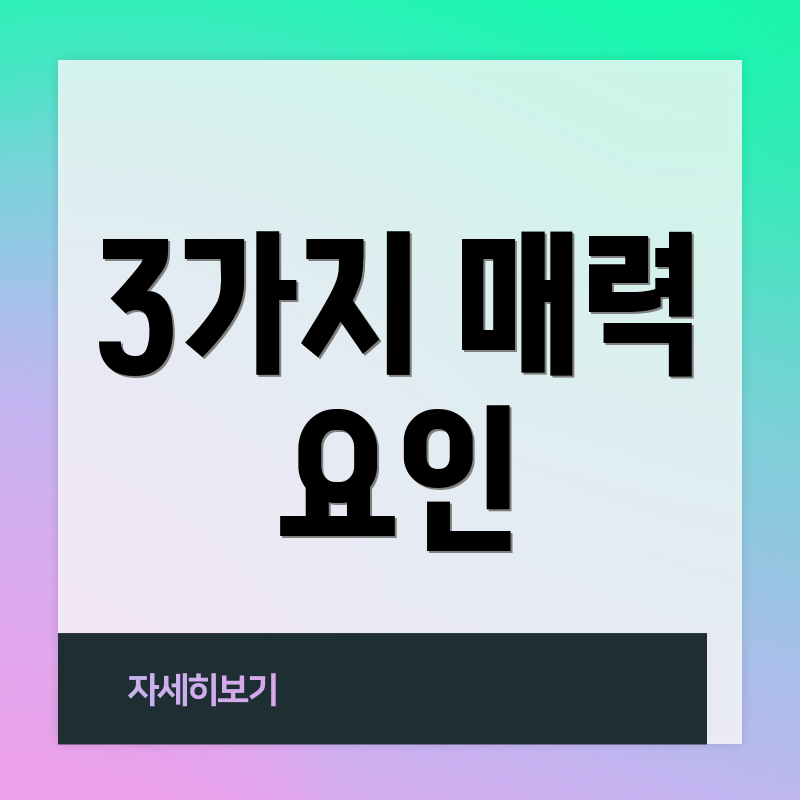 3가지 매력 요인