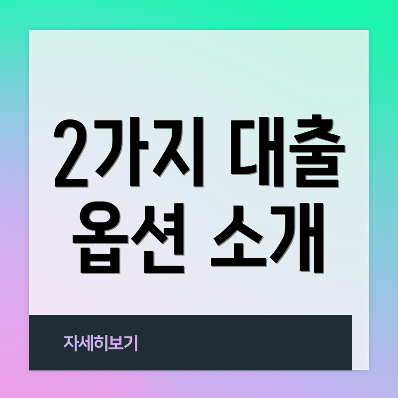 2가지 대출 옵션 소개