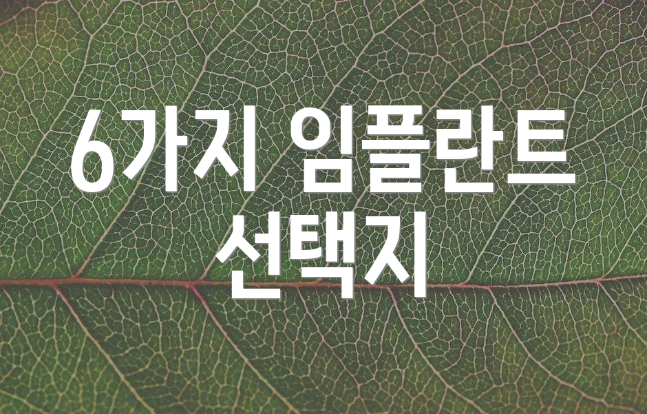 6가지 임플란트 선택지