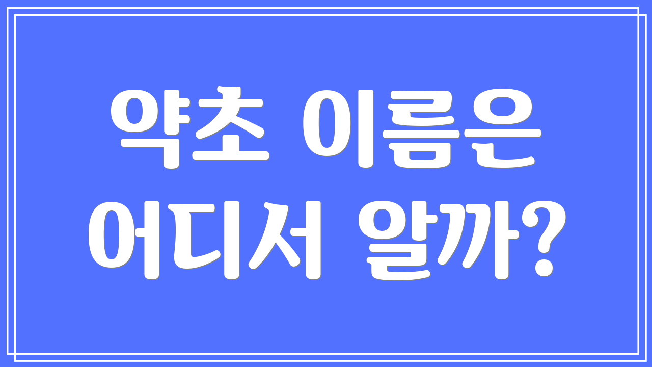 약초 이름은 어디서 알까?