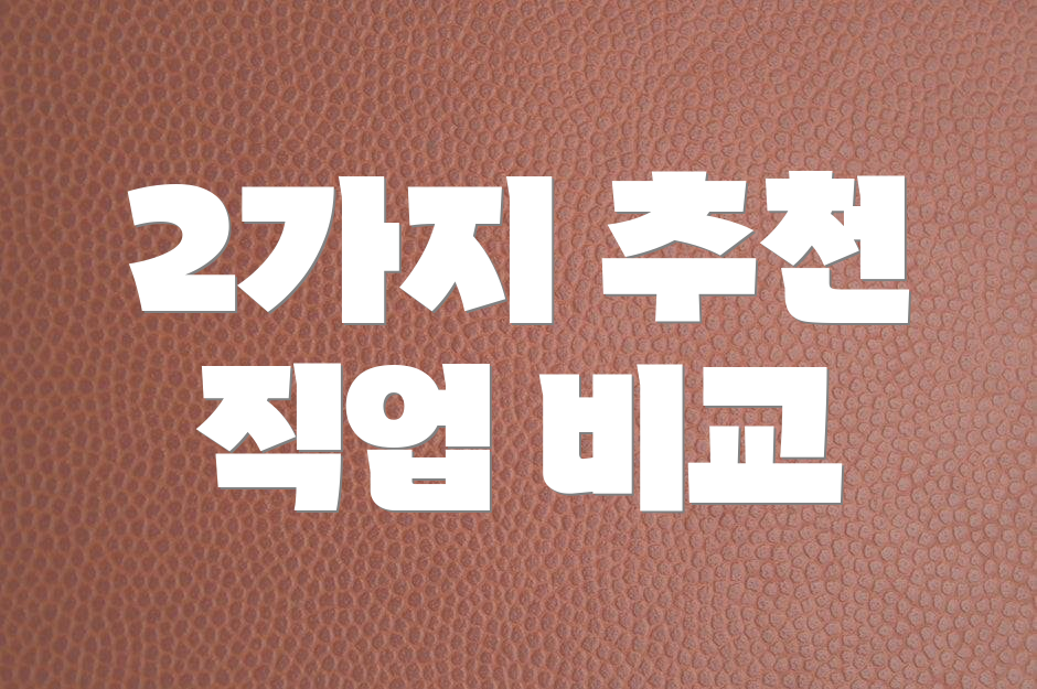 2가지 추천 직업 비교