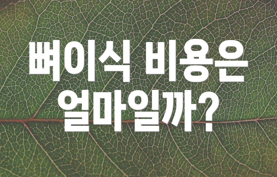 뼈이식 비용은 얼마일까?