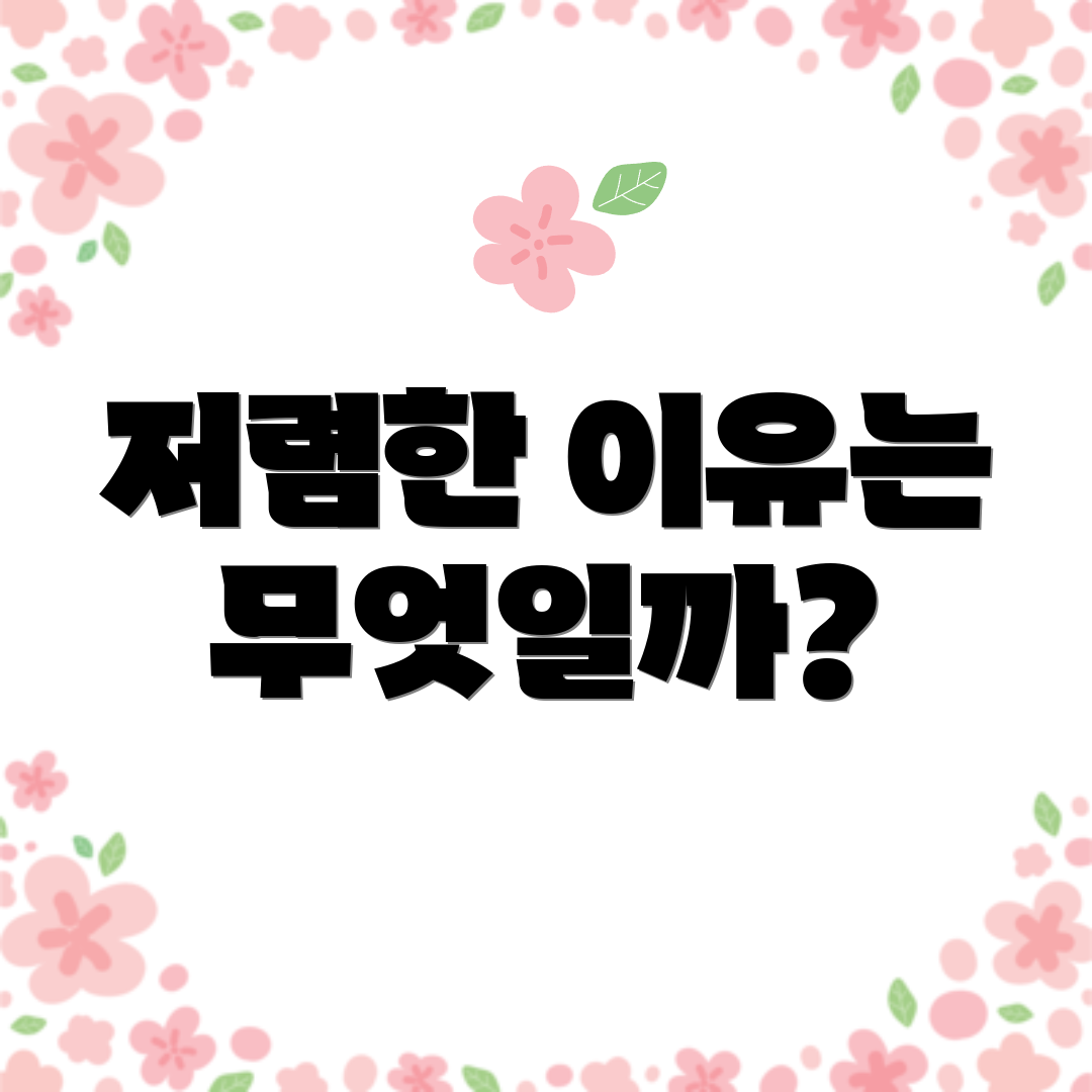 저렴한 이유는 무엇일까?