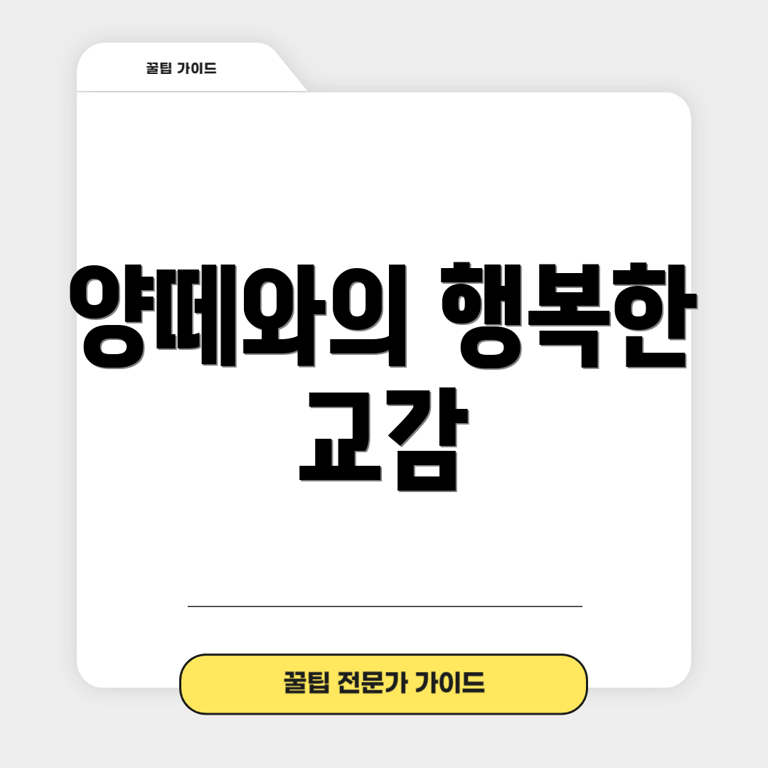 양떼와의 행복한 교감