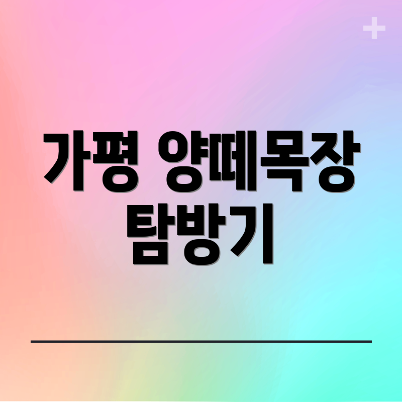 가평 양떼목장 탐방기