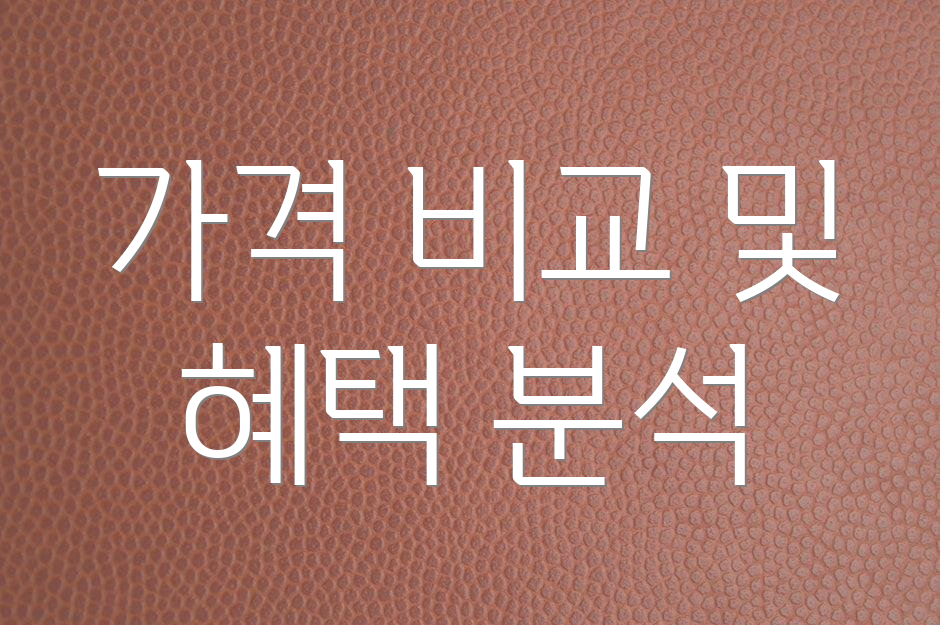 가격 비교 및 혜택 분석