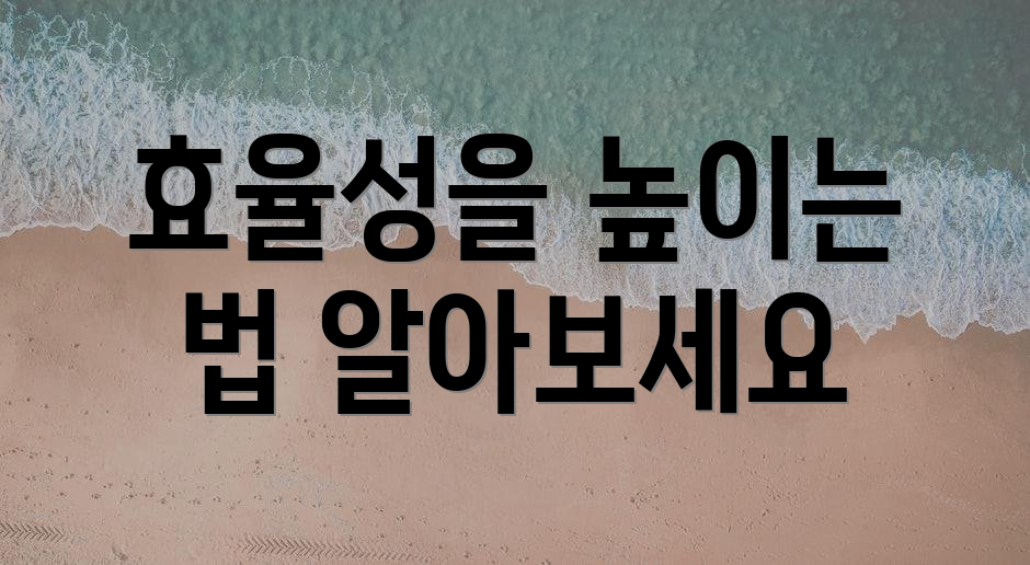 효율성을 높이는 법 알아보세요