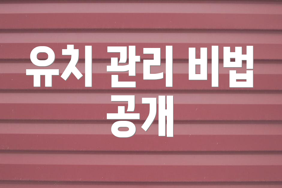 유치 관리 비법 공개