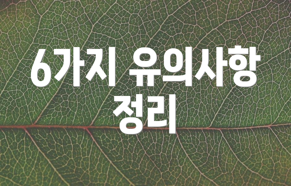 6가지 유의사항 정리
