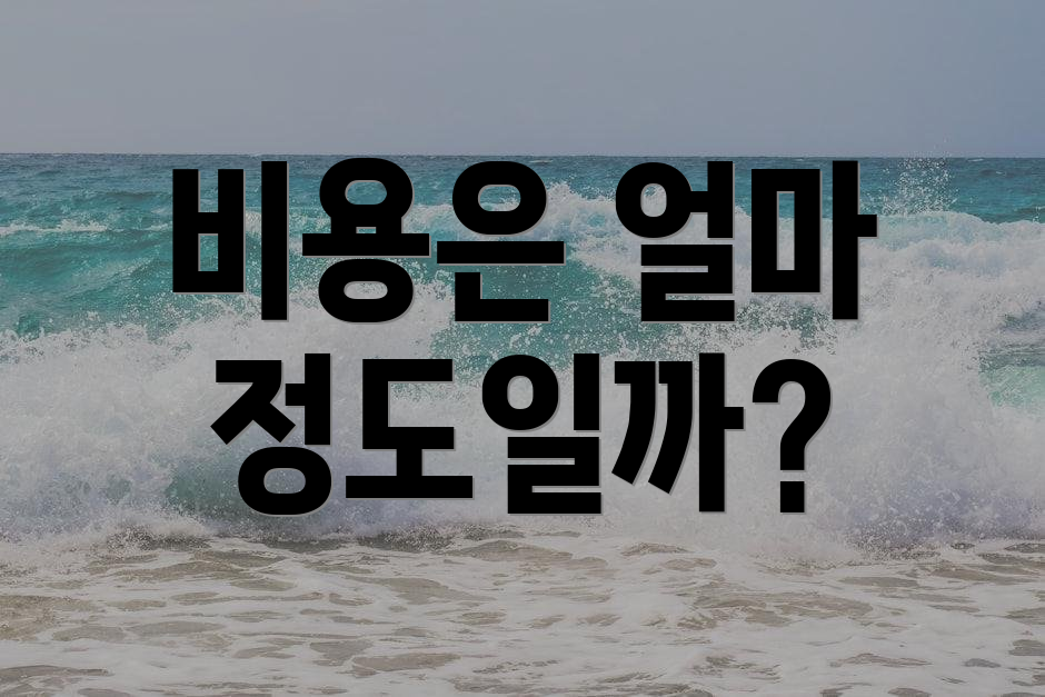 비용은 얼마 정도일까?