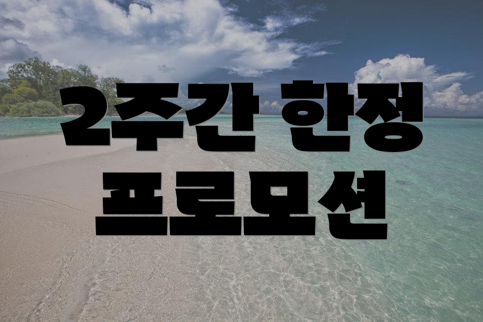 2주간 한정 프로모션