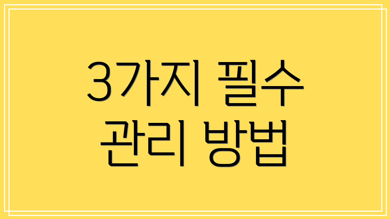 3가지 필수 관리 방법